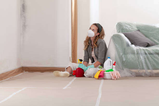 Reliable Black Mold Remediation contractor in Thurmont, MD by Mold Remediation HQ